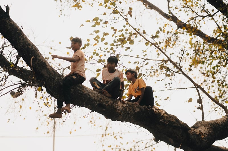 Treehouses