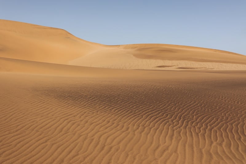 Desert Safari at Sunset